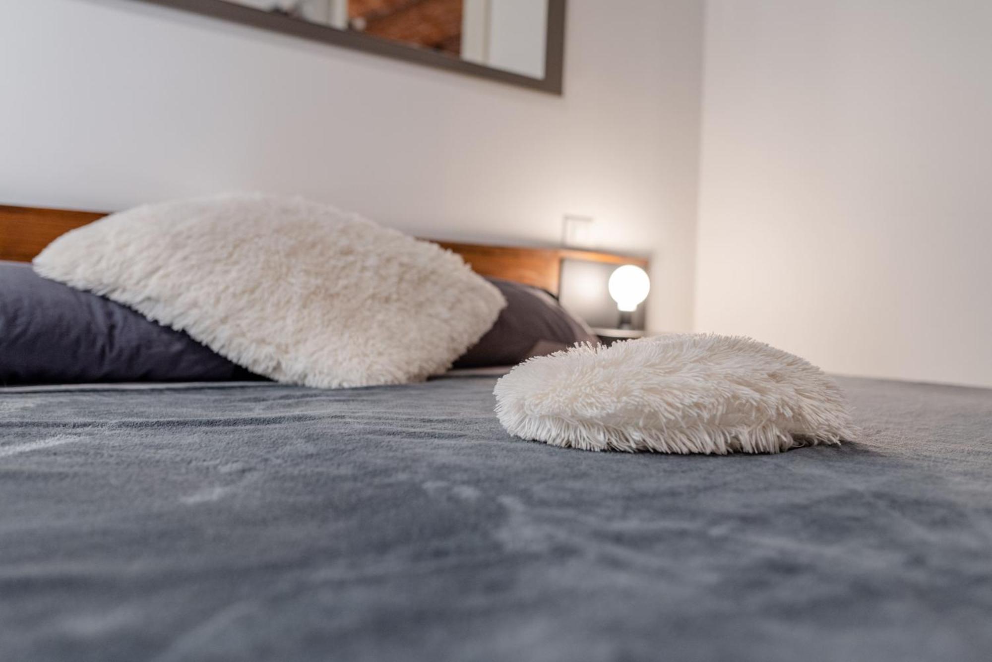 Suite & Queen Apartments Turin Extérieur photo